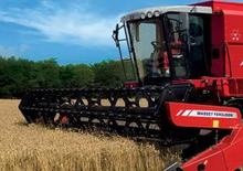 Mietitrebbie Massey Ferguson Activa 7244
