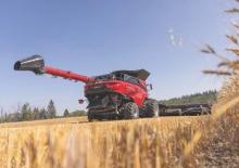 Mietitrebbie Case IH AF11