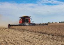 Mietitrebbie Case IH AF9 