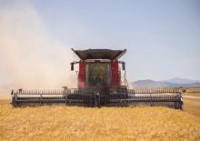 Mietitrebbie Case IH Axial Flow 6160 