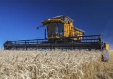 Mietitrebbie Valtra BC6800