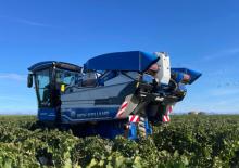 Mietitrebbie New Holland Braud 7030M