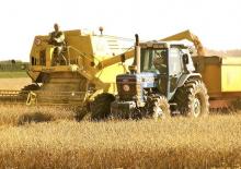 Mietitrebbie New Holland Clayson M 140 Armada