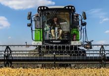 Mietitrebbie Fendt Corus 526 MCS Reis 