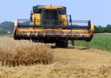 Mietitrebbie New Holland CS 6050 (606 E)