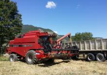 Mietitrebbie Case IH CT 5060 A1