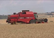 Mietitrebbie Case IH CT 5080
