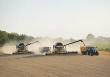 Mietitrebbie New Holland CX 8090 Elevation