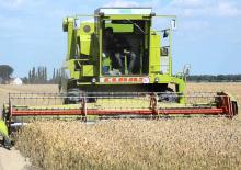 Mietitrebbie Claas Dominator 105