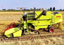 Mietitrebbie Claas Dominator 80