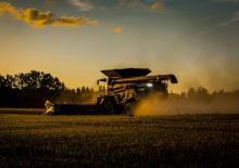 Mietitrebbie Massey Ferguson Ideal 9 T