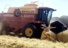 Mietitrebbie New Holland L 625 MCS