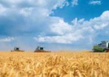 Mietitrebbie Claas Lexion 600