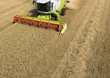 Mietitrebbie Claas Lexion 650