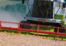 Mietitrebbie Claas Medion 310