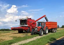 Mietitrebbie Massey Ferguson MF 38