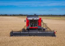 Mietitrebbie Massey Ferguson MF 4690
