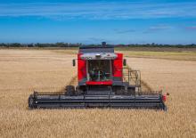Mietitrebbie Massey Ferguson MF 5690