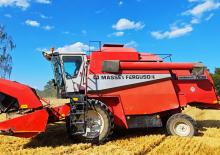 Mietitrebbie Massey Ferguson MF 7238