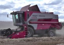Mietitrebbie Massey Ferguson MF 7274