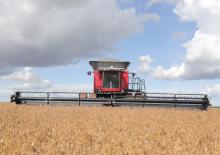 Mietitrebbie Massey Ferguson MF 9695