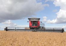 Mietitrebbie Massey Ferguson MF 9795