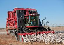 Mietitrebbie Case IH Module Express 635