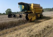 Mietitrebbie New Holland TX 32