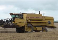 Mietitrebbie New Holland TX 36