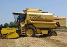 Mietitrebbie New Holland TX 65 Plus