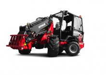 Pale gommate Thaler 3448 T
