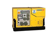 Generatori a benzina Endress ESE 1308 DBG ES DIN Silent
