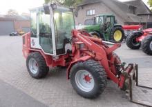 Pale gommate Weidemann 2006 P 50