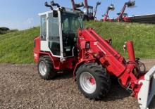 Pale gommate Weidemann 2006