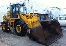 Pale gommate Furukawa 335