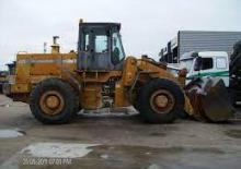 Pale gommate Furukawa 355