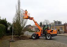 Pale gommate Schäffer 6680 T-3