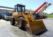 Pale gommate TCM 830
