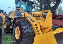 Pale gommate Liugong 877 