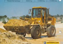 Pale gommate Caterpillar 916