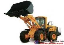 Pale gommate Changlin 980