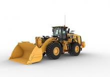 Pale gommate Caterpillar 982
