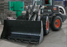 Pale gommate Bobcat AL 275