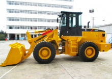 Pale gommate Liugong CLG833