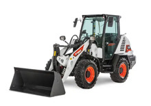 Pale gommate Bobcat L65