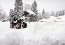 Pale gommate Bobcat L85