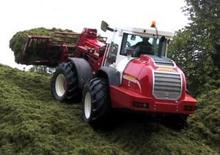 Pale gommate Redrock TH 500