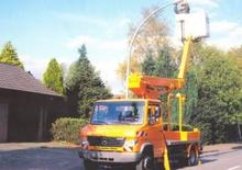 Piattaforme aeree telescopiche autocarrate Ruthmann TK 145 (Fa.)