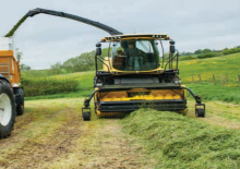 Mietitrebbie – pick up New Holland 300 FP STD Paddles
