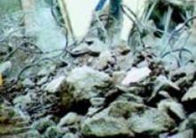 Pinze idrauliche per calcestruzzo ed acciaio FRD VM9